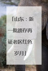 山东：新一批遗存再证老区红色岁月