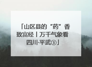 山区县的“药”香致富经丨万千气象看四川·平武③