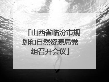 山西省临汾市规划和自然资源局党组召开会议