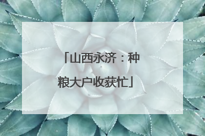 山西永济：种粮大户收获忙