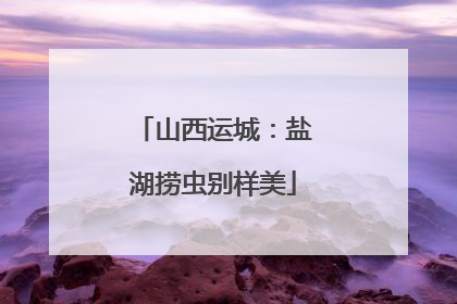 山西运城：盐湖捞虫别样美