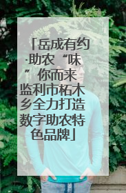 岳成有约·助农“味”你而来 监利市柘木乡全力打造数字助农特色品牌