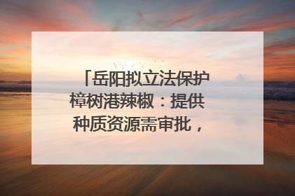 岳阳拟立法保护樟树港辣椒：提供种质资源需审批，违规最高罚5万
