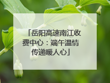 岳阳高速南江收费中心：端午温情传递暖人心