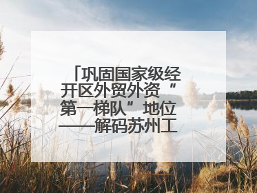巩固国家级经开区外贸外资“第一梯队”地位——解码苏州工业园区样本