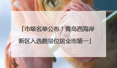 市级名单公布！青岛西海岸新区入选数量位居全市第一