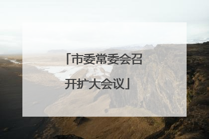 市委常委会召开扩大会议