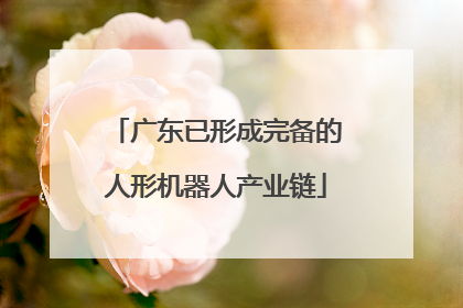 广东已形成完备的人形机器人产业链