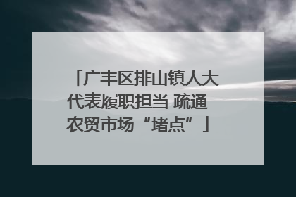 广丰区排山镇人大代表履职担当 疏通农贸市场“堵点”