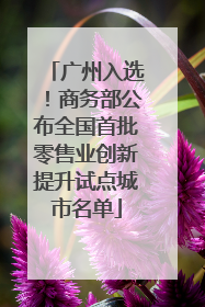 广州入选！商务部公布全国首批零售业创新提升试点城市名单