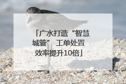 广水打造“智慧城管” 工单处置效率提升10倍