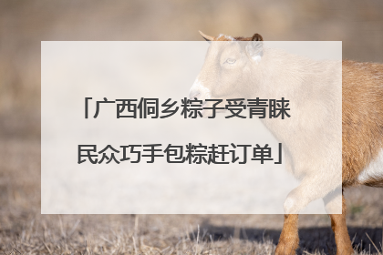 广西侗乡粽子受青睐 民众巧手包粽赶订单