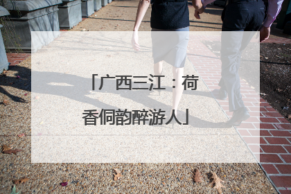 广西三江：荷香侗韵醉游人