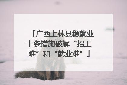 广西上林县稳就业十条措施破解“招工难”和“就业难”