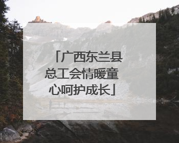 广西东兰县总工会情暖童心呵护成长
