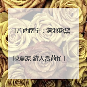 广西南宁：满池粉黛映夏凉 游人赏荷忙