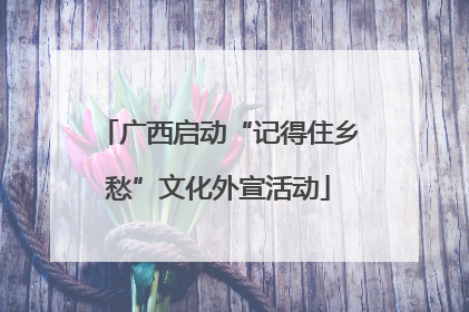 广西启动“记得住乡愁”文化外宣活动
