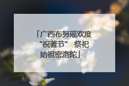 广西布努瑶欢度“祝著节” 祭祀始祖密洛陀