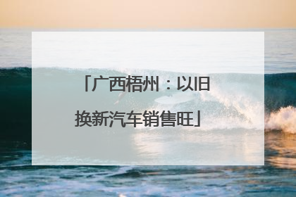 广西梧州：以旧换新汽车销售旺