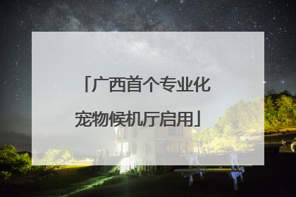 广西首个专业化宠物候机厅启用