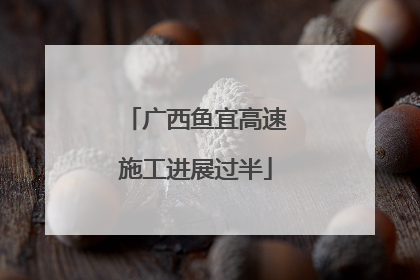 广西鱼宜高速施工进展过半