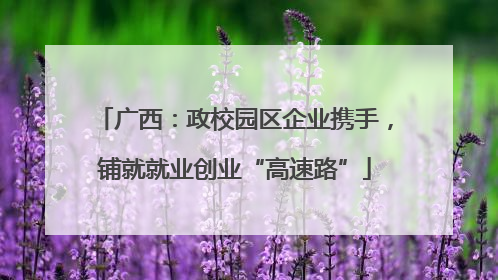 广西：政校园区企业携手，铺就就业创业“高速路”