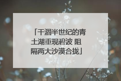 干涸半世纪的青土湖重现碧波 阻隔两大沙漠合拢