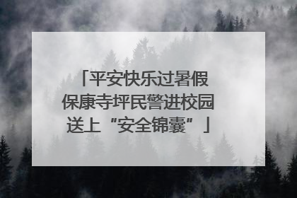 平安快乐过暑假 保康寺坪民警进校园送上“安全锦囊”
