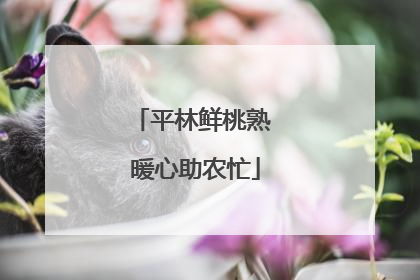 平林鲜桃熟 暖心助农忙