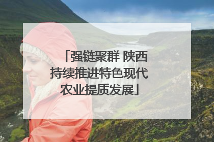 强链聚群 陕西持续推进特色现代农业提质发展
