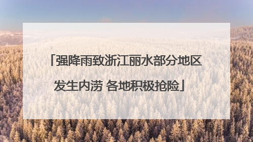 强降雨致浙江丽水部分地区发生内涝 各地积极抢险