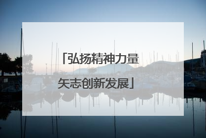 弘扬精神力量 矢志创新发展