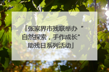张家界市残联举办“自然探索，手作成长”助残日系列活动