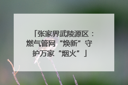 张家界武陵源区：燃气管网“焕新”守护万家“烟火”