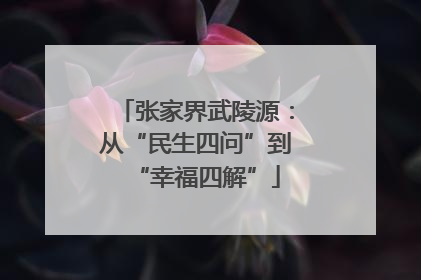 张家界武陵源：从“民生四问”到“幸福四解”