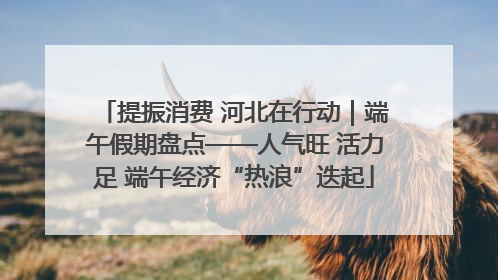 提振消费 河北在行动｜端午假期盘点——人气旺 活力足 端午经济“热浪”迭起