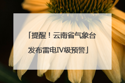 提醒！云南省气象台发布雷电Ⅳ级预警