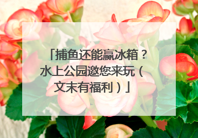 捕鱼还能赢冰箱？水上公园邀您来玩（文末有福利）
