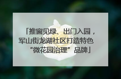 推窗见绿、出门入园，军山街龙湖社区打造特色“微花园治理”品牌