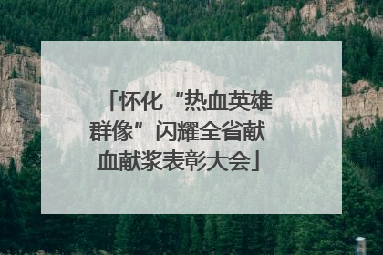 怀化“热血英雄群像”闪耀全省献血献浆表彰大会