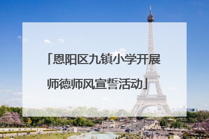 恩阳区九镇小学开展师德师风宣誓活动