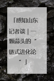 感知山东记者谈｜一颗蒜头的“链式进化论”