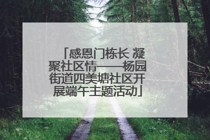 感恩门栋长 凝聚社区情——杨园街道四美塘社区开展端午主题活动