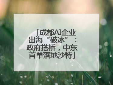 成都AI企业出海“破冰”：政府搭桥，中东首单落地沙特