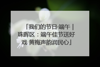 我们的节日·端午｜珠晖区：端午佳节送好戏 黄梅声韵润民心