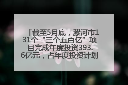 截至5月底，漯河市131个“三个五百亿”项目完成年度投资393.6亿元，占年度投资计划的50.41%——“三个五百亿”项目带动产业提质升级