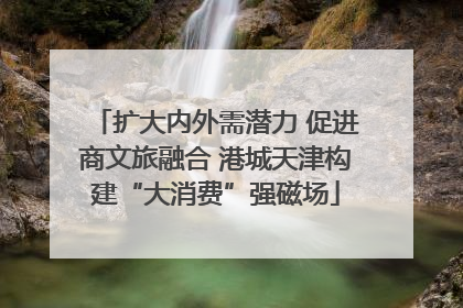扩大内外需潜力 促进商文旅融合 港城天津构建“大消费”强磁场
