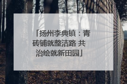 扬州李典镇：青砖铺就整洁路 共治绘就新田园