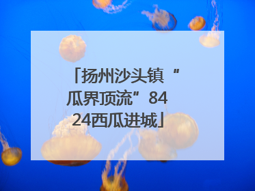 扬州沙头镇“瓜界顶流”8424西瓜进城