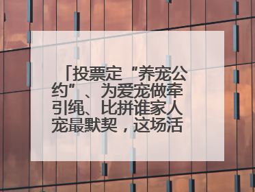 投票定“养宠公约”、为爱宠做牵引绳、比拼谁家人宠最默契，这场活动有趣更有意义